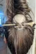 Skull Headband Bronze Hairpin Hair Accessories