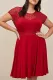 Lace Fit and Flare Casual Plus Size Dresses
