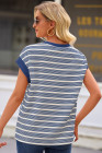 Blue Stripe Stripe Top - Light Taupe