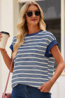 Blue Stripe Stripe Top - Light Taupe