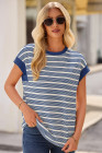 Blue Stripe Stripe Top - Light Taupe