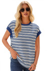 Blue Stripe Stripe Top - Light Taupe