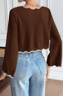 Coffee Serisse Women's V-Neck Contrast Trim Casual Pullover Sweater In Fall/Winter,Brown Sweater,Brown Top